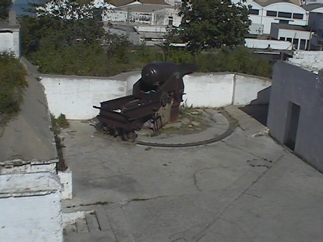 IMGA0043.JPG (61192 bytes)