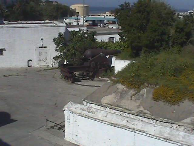 IMGA0044.JPG (61263 bytes)